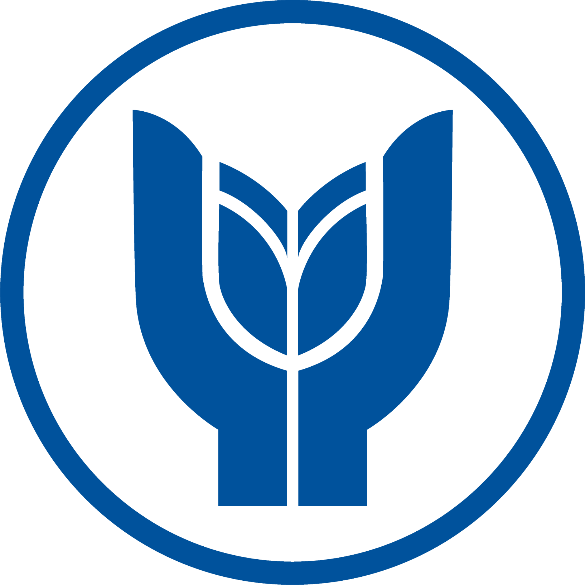 YU